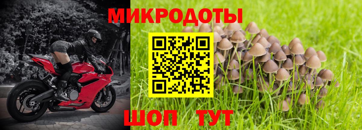 Галлюциногенные грибы MAGIC MUSHROOMS Красноармейск